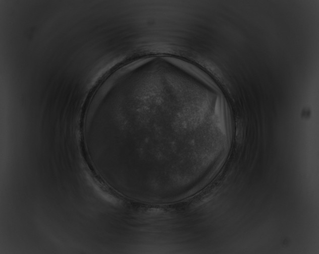 X0000091860390200710031045