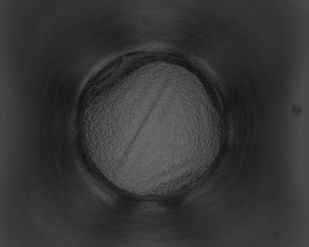 X0000091860392200710031044