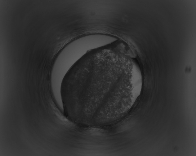 X0000091860393200710031044