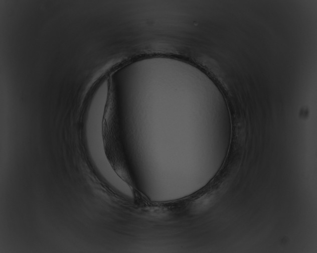 X0000091860395200710031044