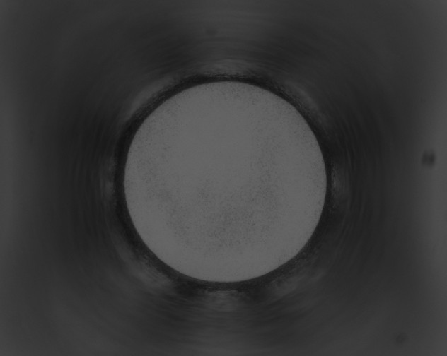 X0000091860396200710031044