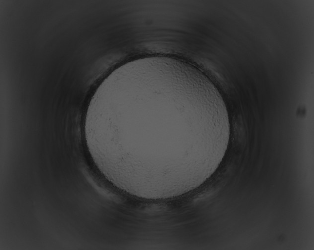 X0000091860398200710031044