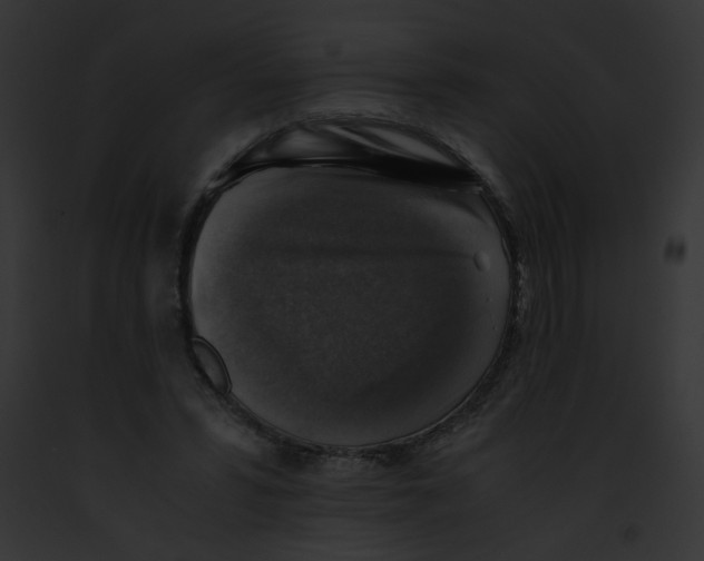 X0000091860399200710031044