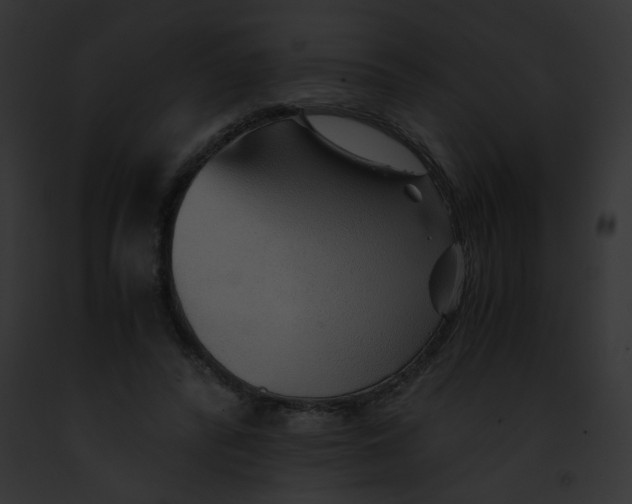 X0000091860400200710031044