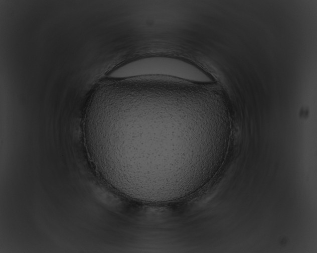 X0000091860401200710031044