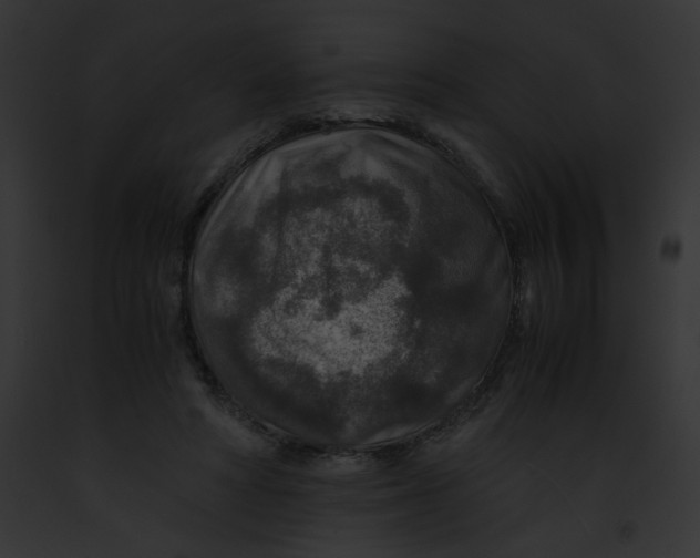 X0000091860402200710031044