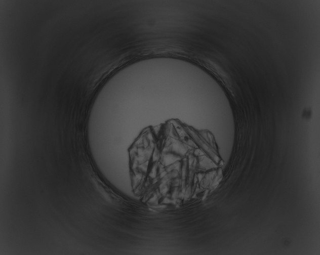 X0000091860405200710031044