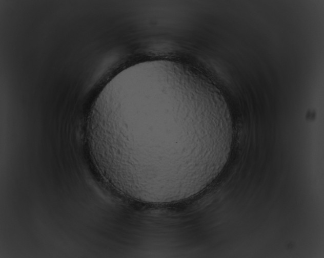 X0000091860408200710031044