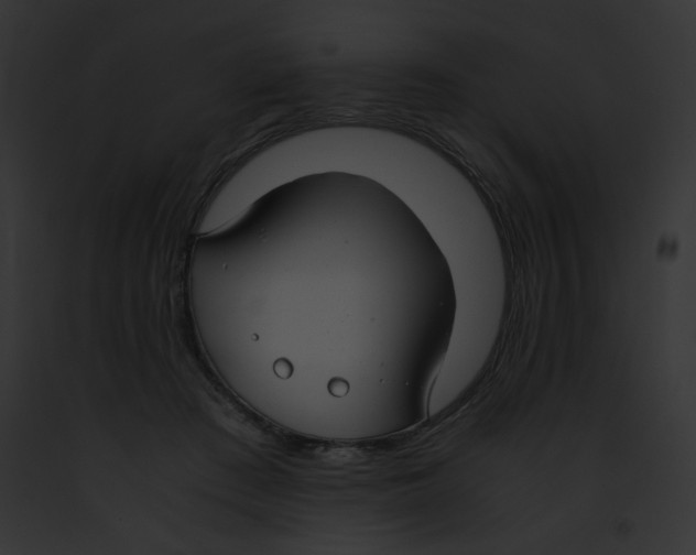 X0000091860409200710031044