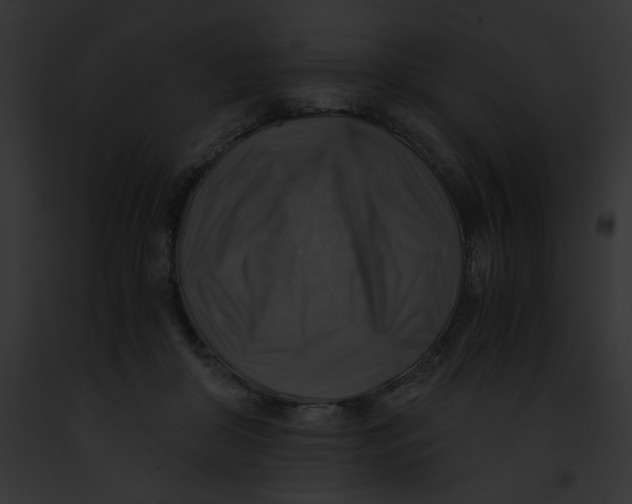 X0000091860410200710031044