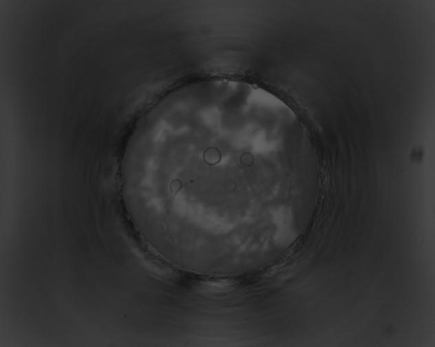 X0000091860411200710031044