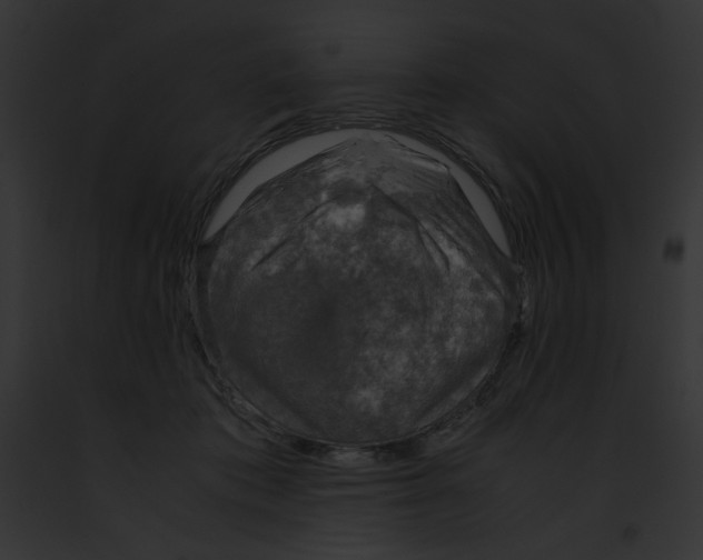 X0000091860413200710031044