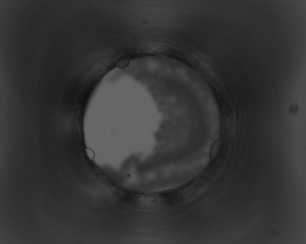 X0000091860415200710031044