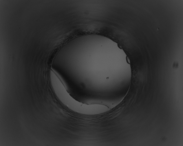 X0000091860416200710031044