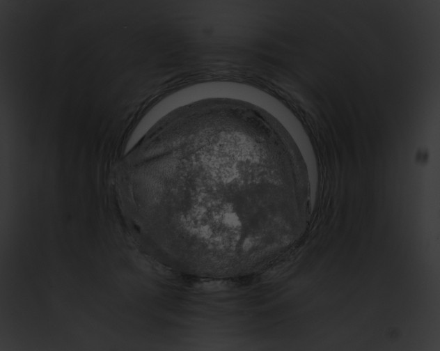 X0000091860417200710031044