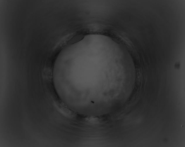 X0000091860419200710031044