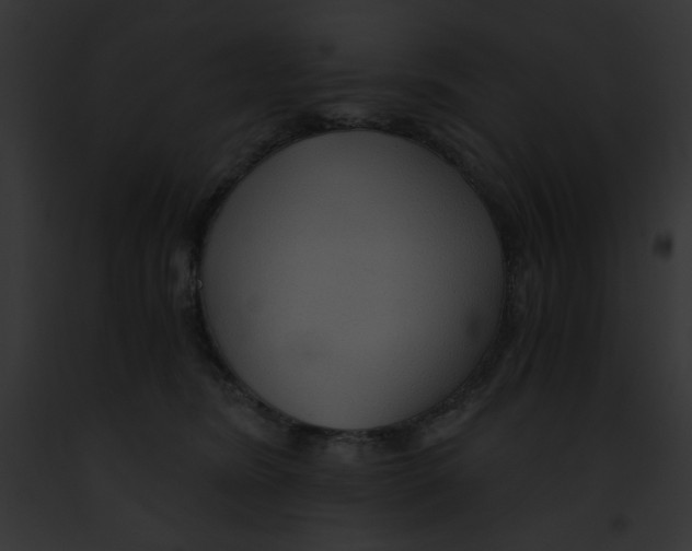 X0000091860420200710031044