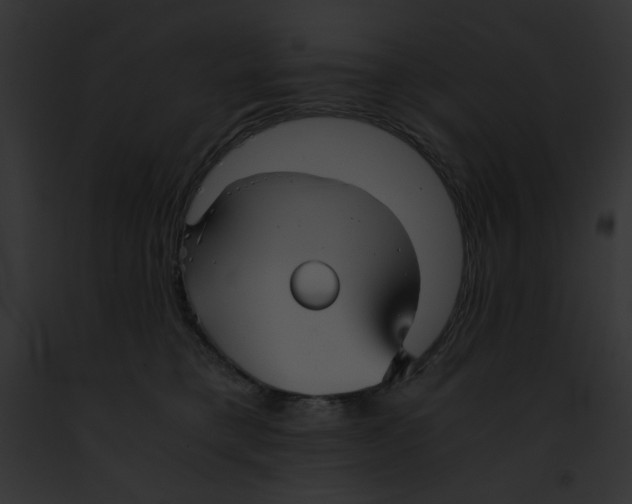 X0000091860421200710031044