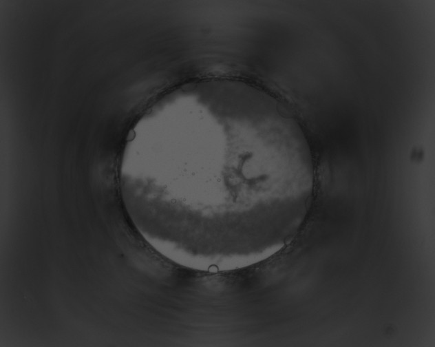 X0000091860423200710031044