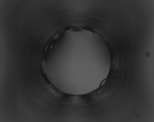 X0000091860424200710031044