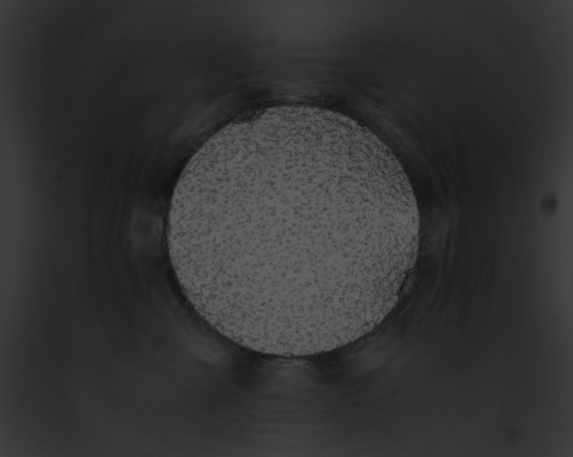 X0000091860427200710031044