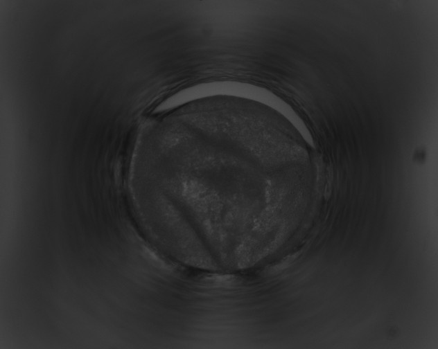 X0000091860428200710031044