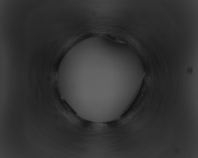 X0000091860429200710031044