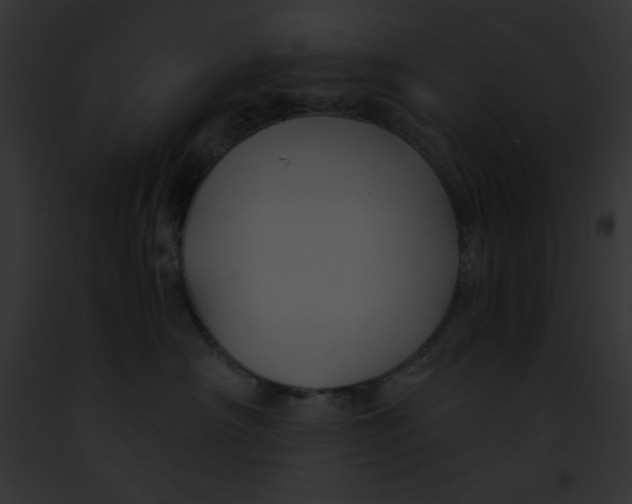 X0000091860430200710031044