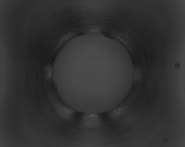 X0000091860431200710031044