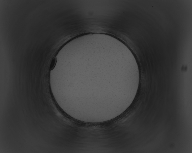 X0000091860433200710031043