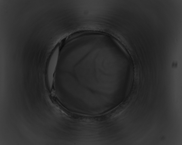 X0000091860434200710031043