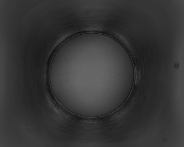 X0000091860435200710031043