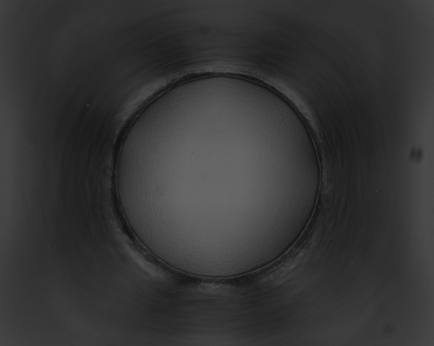 X0000091860437200710031043