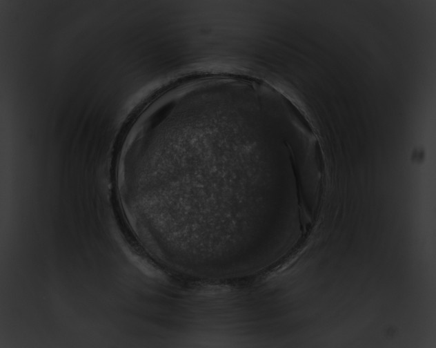 X0000091860438200710031043