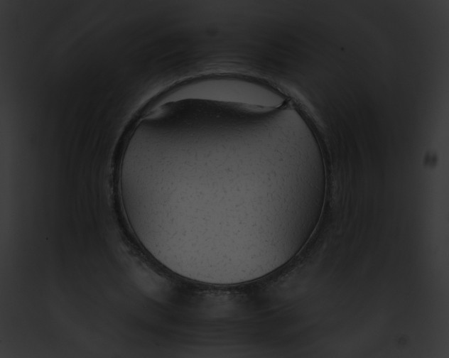 X0000091860439200710031043