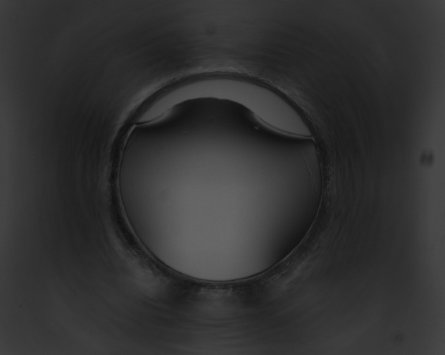 X0000091860440200710031043