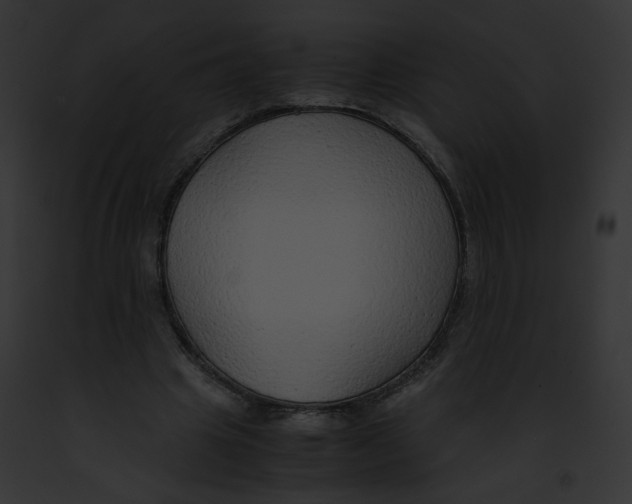 X0000091860441200710031043