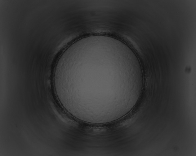 X0000091860443200710031043