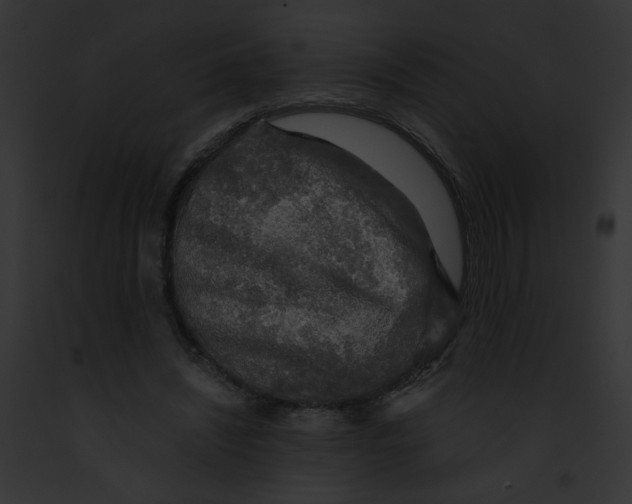 X0000091860444200710031043