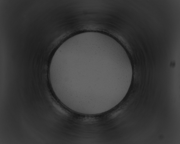 X0000091860445200710031043