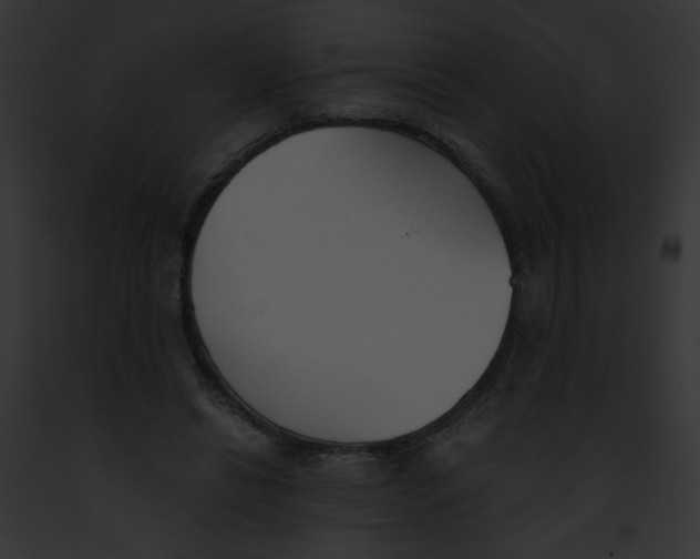 X0000091860446200710031043