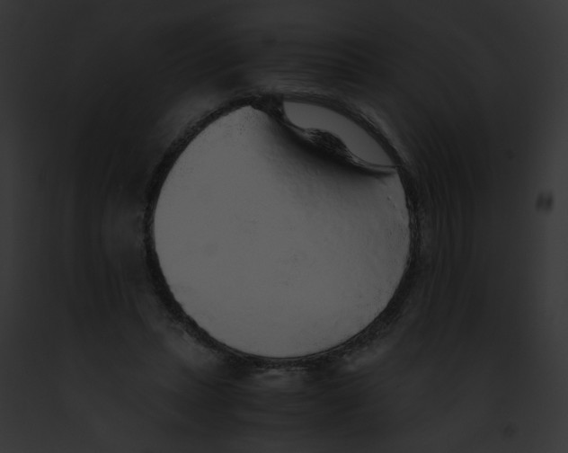 X0000091860447200710031043