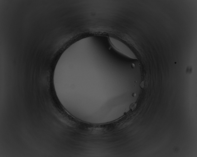 X0000091860448200710031043