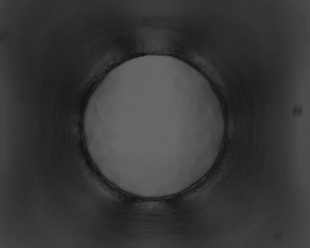 X0000091860449200710031043