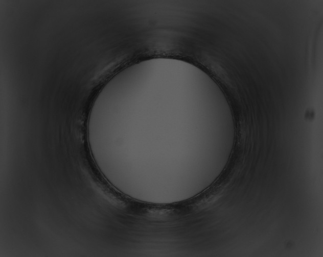 X0000091860450200710031043