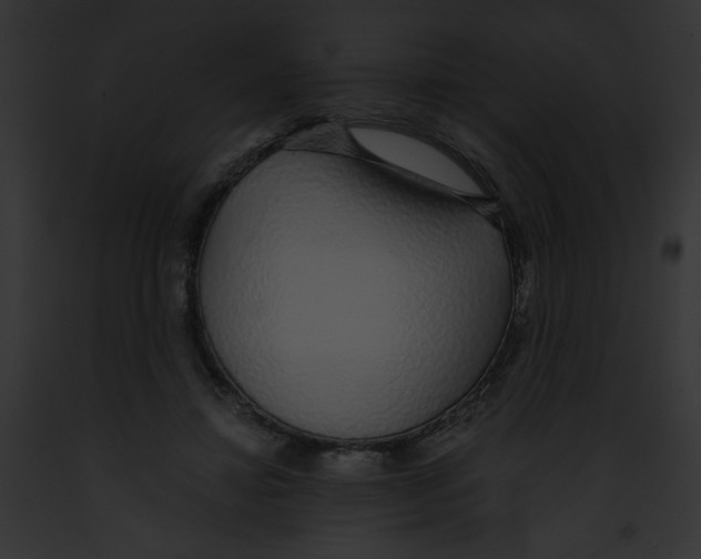 X0000091860452200710031043