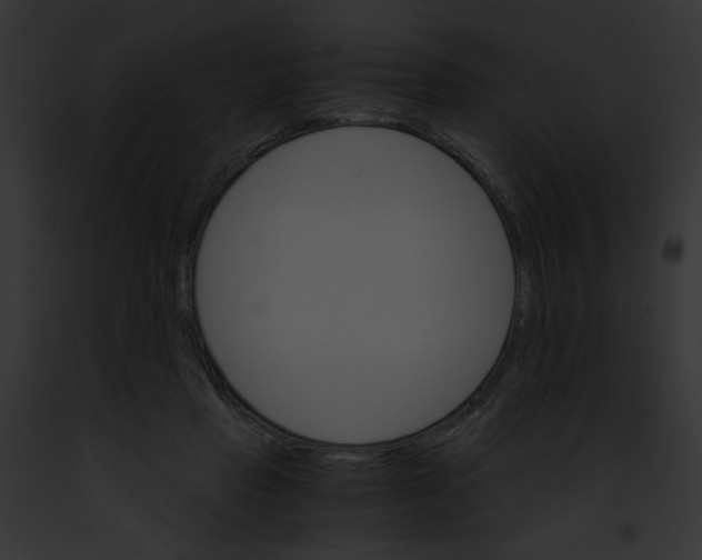 X0000091860453200710031043