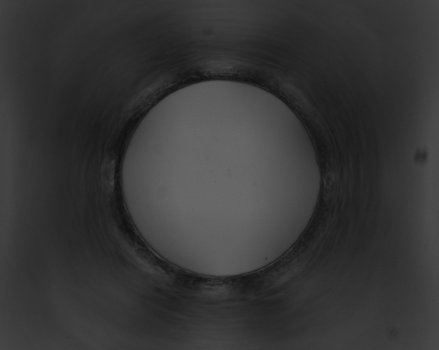 X0000091860454200710031043