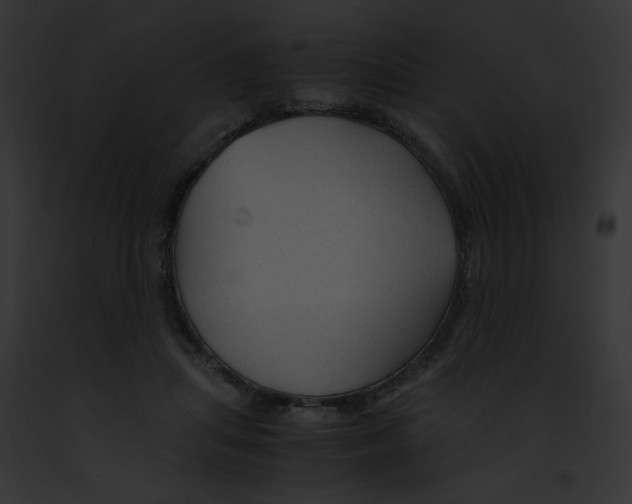 X0000091860455200710031044