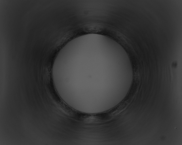 X0000091860460200710031044